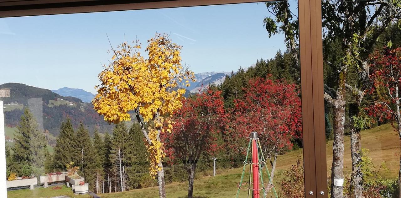 Berghaus Koglmoos Hotel Auffach Exterior foto