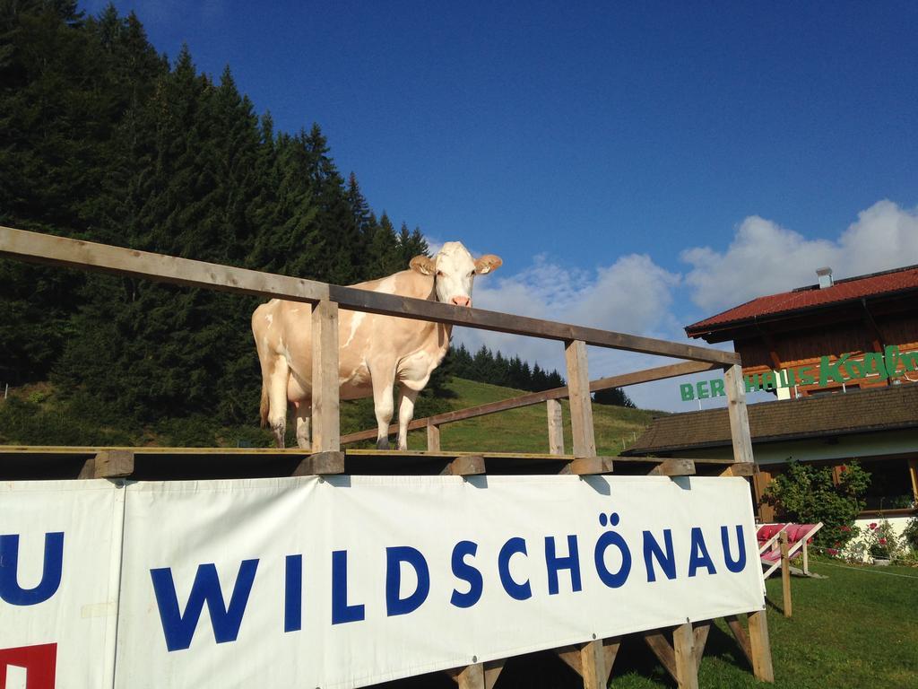 Berghaus Koglmoos Hotel Auffach Exterior foto
